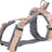 Rosa und graues Hundegeschirr mit gepolsterten Riemen, Steckverschlüssen und Metallringen.