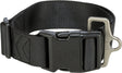 Schwarzes Halsband mit Kunststoffschnalle und Metallring, Bedruckung "Trixie" auf Schnalle und Metallteil.