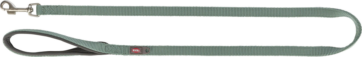 Grüne Hundeleine aus robustem Material mit Metallschnalle und gepolstertem Griff.