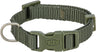 Grünes Polyester-Hundehalsband mit Klickverschluss und Metallring, Markenaufdruck "Trixie" sichtbar.