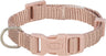 Der beige Hundehalsband hat eine verstellbare Schnalle, Kunststoffverschluss und einen Metallring.