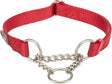 Rotes Hundehalsband mit Kettenzug und Metallringen, aus Nylon gefertigt und verstellbar.