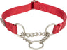 Rotes Hundehalsband mit Kettenzug und Metallringen, aus Nylon gefertigt und verstellbar.
