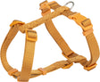 Orangefarbenes Hundegeschirr mit mehreren verstellbaren Riemen und Klickverschluss aus strapazierfähigem Material.