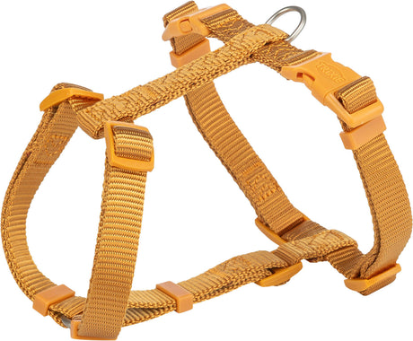 Orangefarbenes Hundegeschirr mit mehreren verstellbaren Riemen und Klickverschluss aus strapazierfähigem Material.