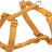 PHO_PRO_CLIP_203229-203329-203429-203529-204829-204929-1