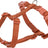 PHO_PRO_CLIP_203230-203330-203430-203530-204830-204930-1