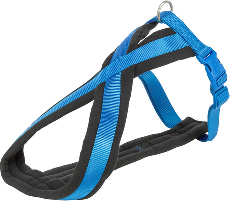 Hundegeschirr mit gepolsterter Struktur in Schwarz und Blau mit verstellbarem Riemen und Schnalle.