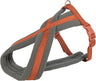 PHO_PRO_CLIP_203630-203730-203830-203930-204030-204130-204230-1