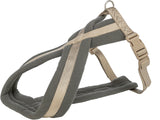 PHO_PRO_CLIP_203636-203736-203836-203936-204036-204136-204236-1