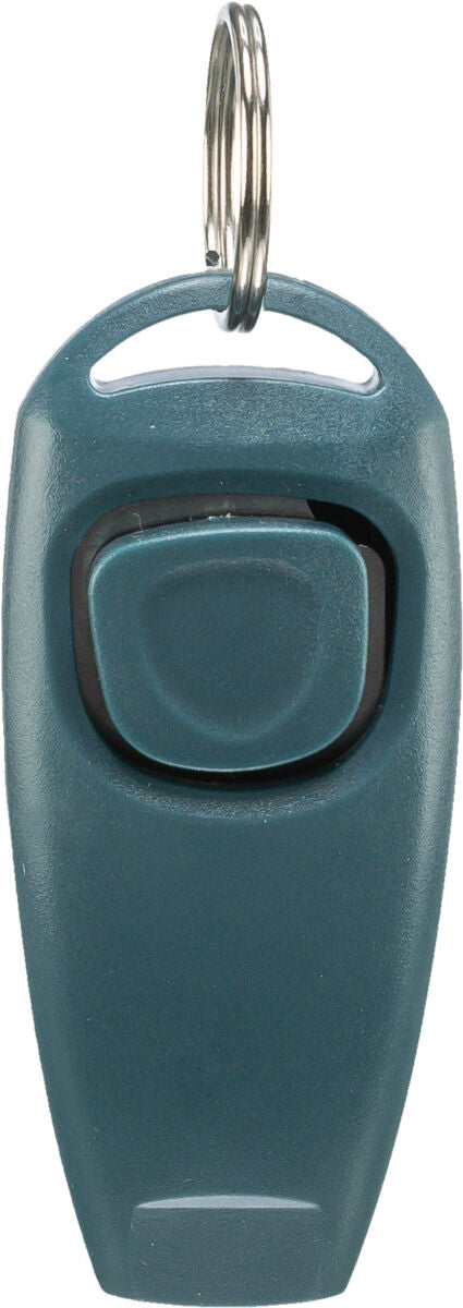 Grauer Clicker mit metallischem Schlüsselring oben und rechteckigem Knopf in der Mitte.