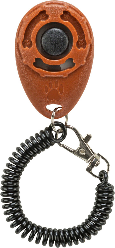 Brauner Klicker mit schwarzem Knopf, über metallischem Ring und schwarzer Spiralschnur mit Karabinerhaken.