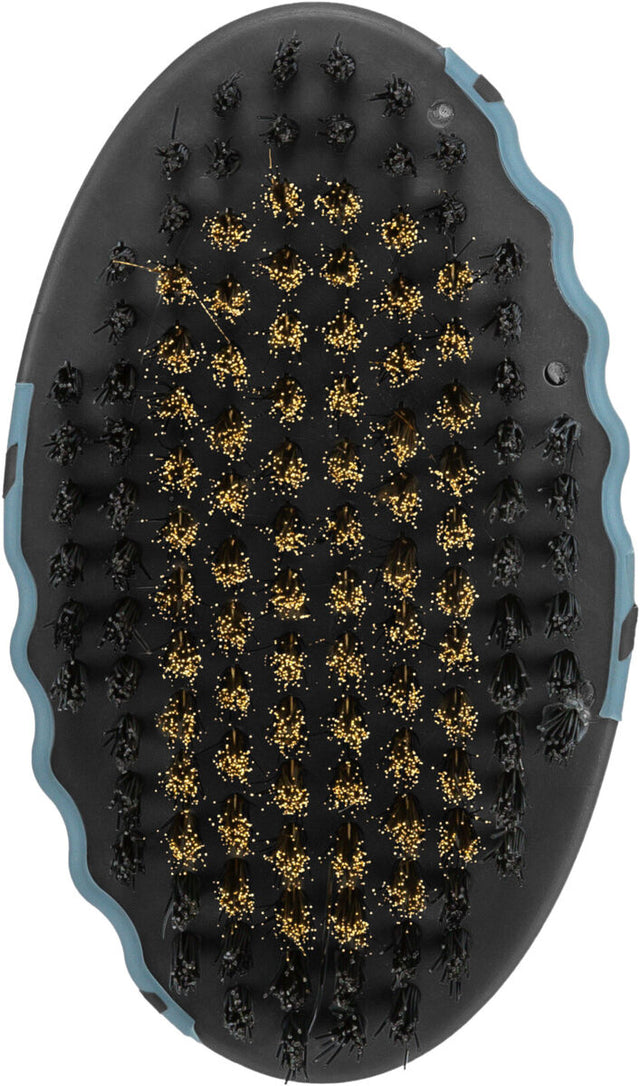 Ovale Bürste mit schwarzen Borsten und goldfarbenen Punkten auf schwarzer Fläche, blauem Rand.