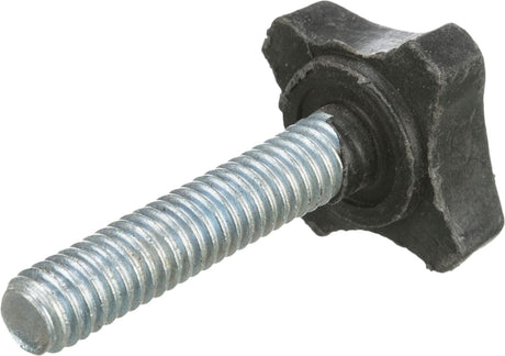 Metallschraube mit schwarzem Griff in Form eines Sterns, silbernes Gewinde sichtbar.