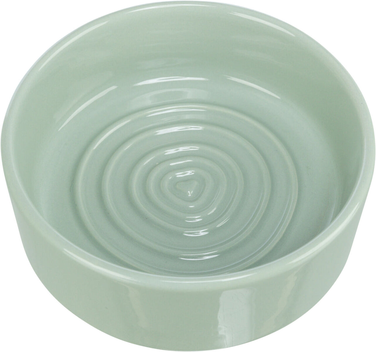Runde, hellgrüne Schale mit erhabenen konzentrischen Kreisen im Inneren, glänzende Oberfläche.