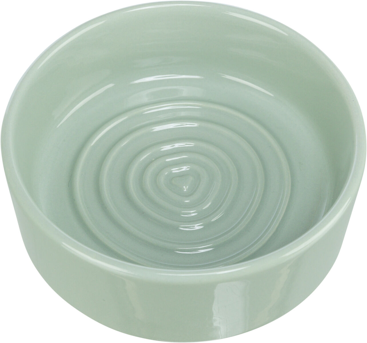 Runde, hellgrüne Schale mit erhabenen konzentrischen Kreisen im Inneren, glänzende Oberfläche.