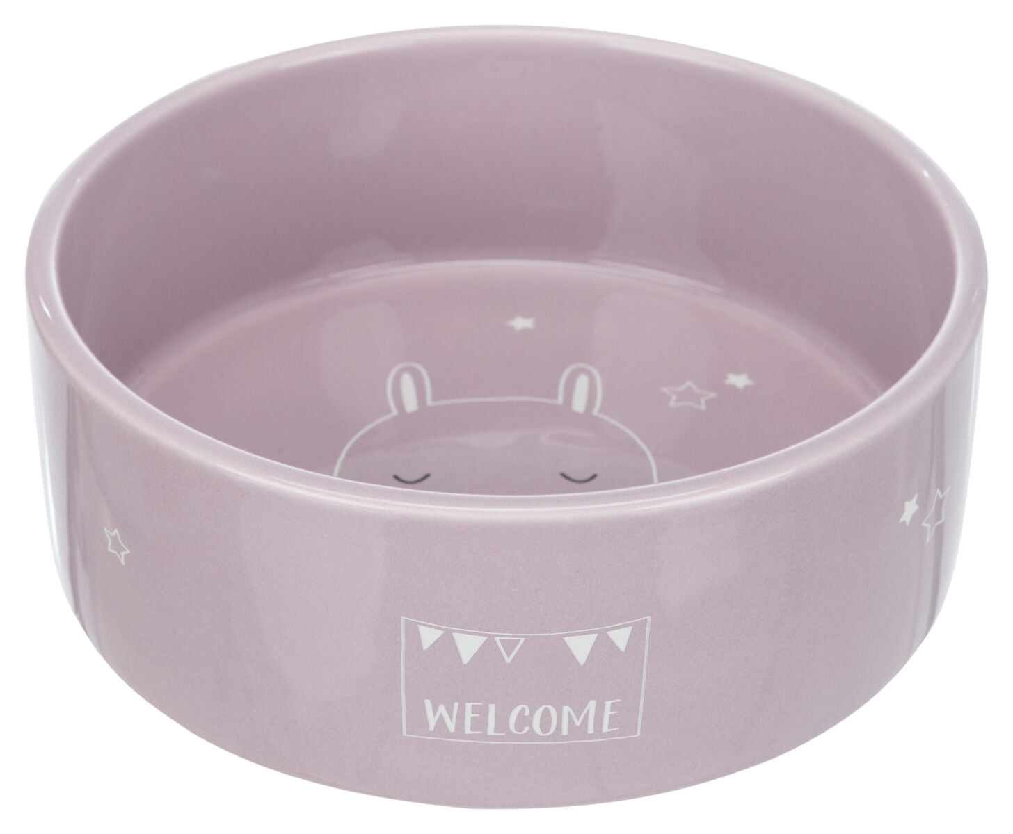 Lila Schüssel mit "WELCOME"-Schriftzug, Tiermotiv und Sternmustern auf dem Boden und an der Seite.