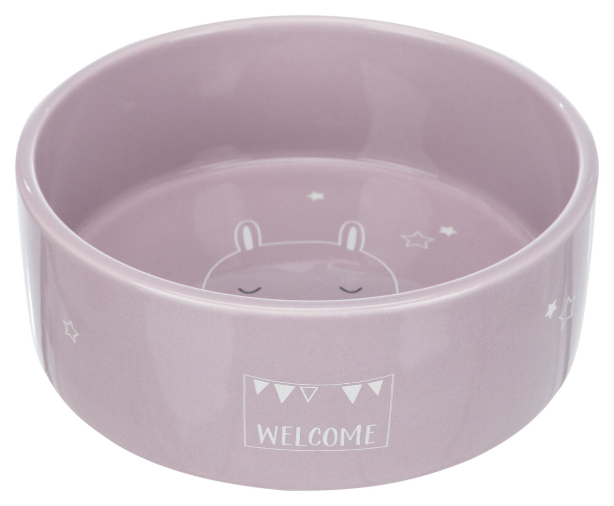 Lila Schüssel mit "WELCOME"-Schriftzug, Tiermotiv und Sternmustern auf dem Boden und an der Seite.