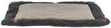 PHO_PRO_CLIP_36507-36508-1