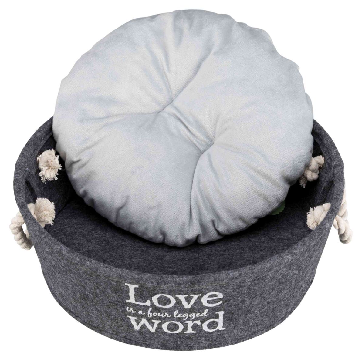 PHO_PRO_CLIP_38395-2