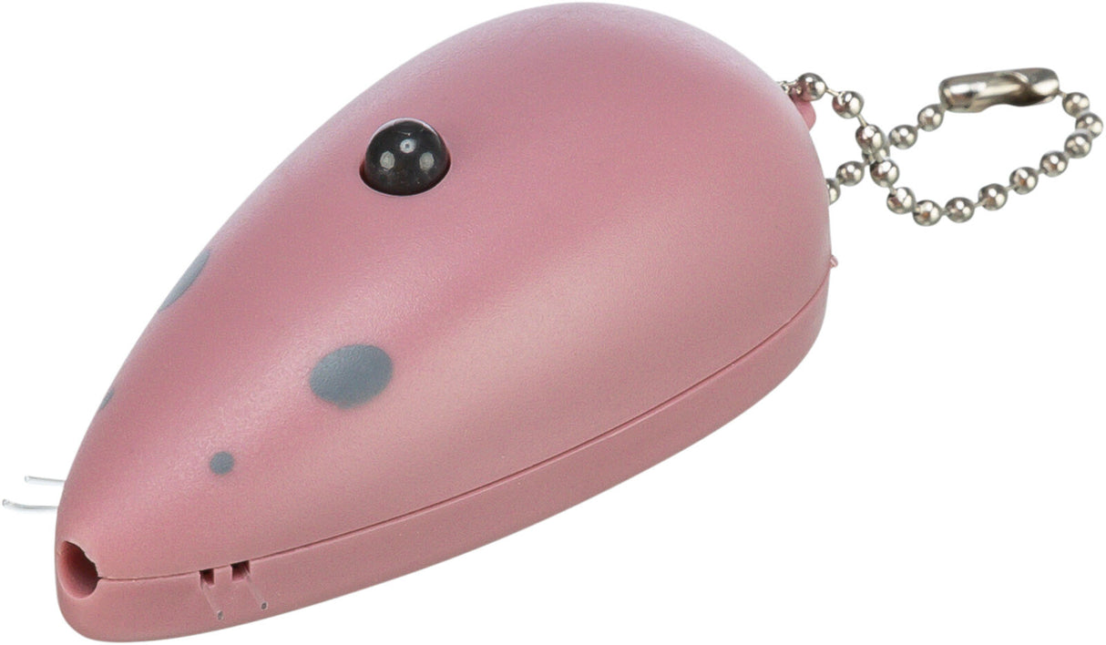 Laser Pointer Catch the Light