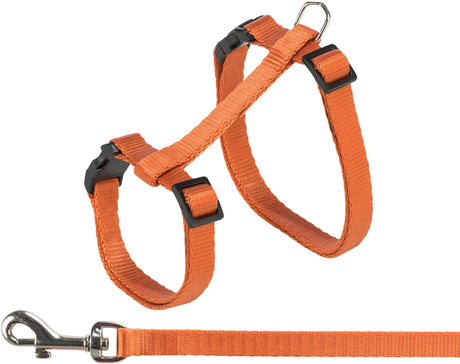 Orangefarbene, verstellbare Hundegeschirr mit schwarzen Schnallen und Metallhaken, geeignet für Haustierführungen.