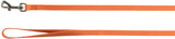 Orangefarbene Hundeleine mit silbernem Karabinerhaken und einer Handschlaufe am anderen Ende.