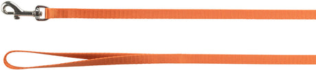 Orangefarbene Hundeleine mit silbernem Karabinerhaken und einer Handschlaufe am anderen Ende.