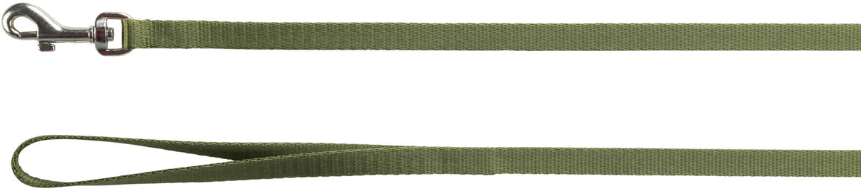 Grüne Hundeleine mit Metallschnalle und Handschlaufe.