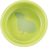 Grüne Schale mit einer eingedruckten Silhouette eines Tieres auf dem Boden.
