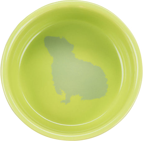 Grüne Schale mit einer eingedruckten Silhouette eines Tieres auf dem Boden.