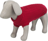 Graues Hundemodell trägt einen gestrickten, roten Pullover mit Zopfmuster.