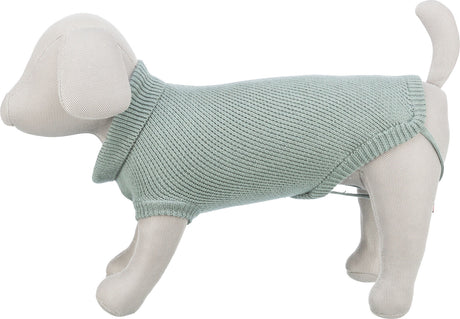 Beigefarbene Hundepuppe trägt mintfarbenen Strickpullover, seitlich betrachtet.