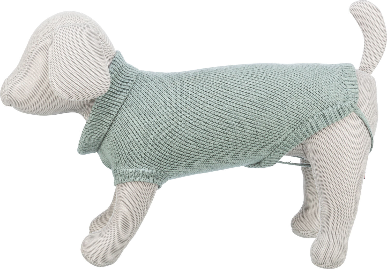 Beigefarbene Hundepuppe trägt mintfarbenen Strickpullover, seitlich betrachtet.