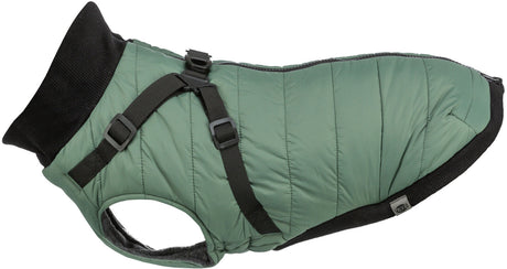 Grüner Hundemantel mit schwarzem Rand und verstellbarem Gurt aus Nylon, mit kleinem Label an der Seite.