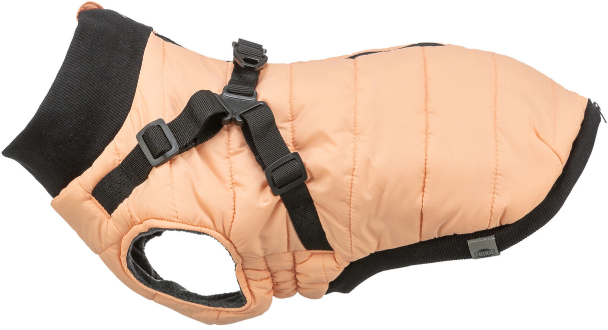Hellorange Hundemantel mit schwarzen Riemen und Schnallen, sichtbare Öffnungen und weicher Innenstoff.