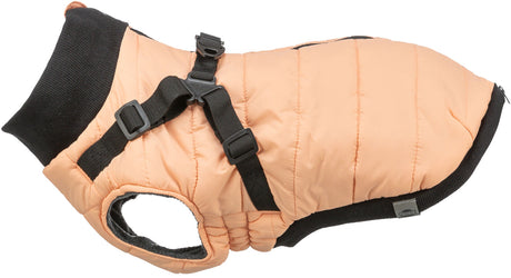 Hellorange Hundemantel mit schwarzen Riemen und Schnallen, sichtbare Öffnungen und weicher Innenstoff.
