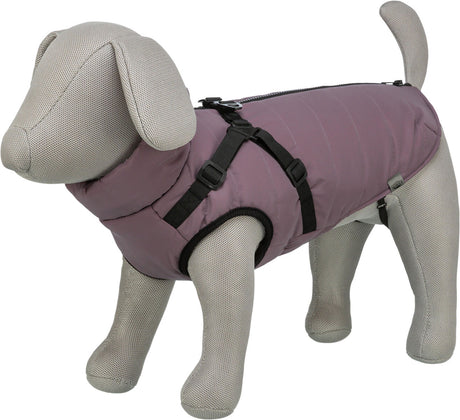 Graues Stoffmodell eines Hundes trägt einen lila Hundemantel mit schwarzen Gurten und Verschluss.