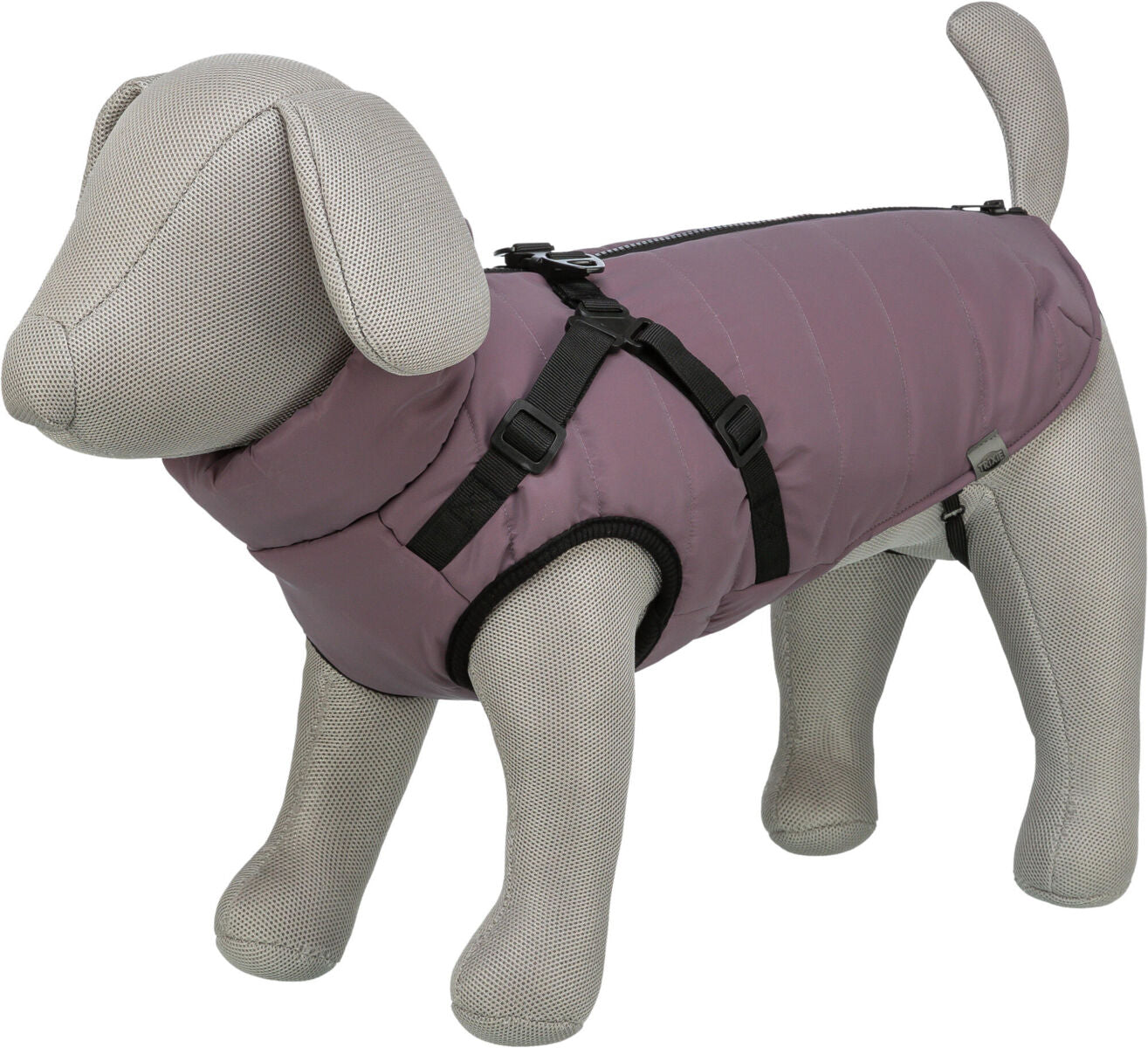 Graues Stoffmodell eines Hundes trägt einen lila Hundemantel mit schwarzen Gurten und Verschluss.