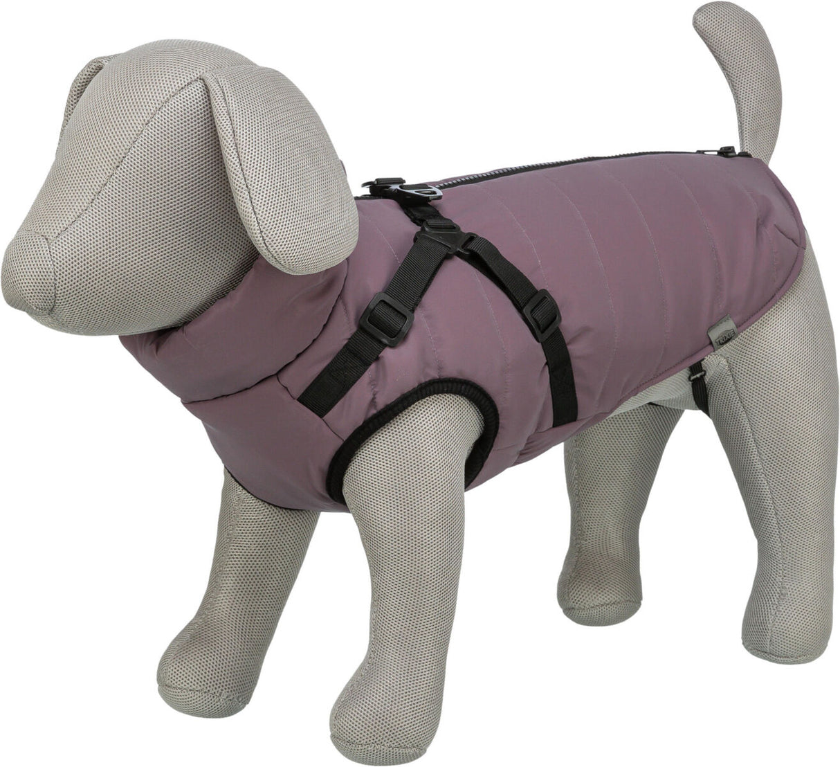 Graues Stoffmodell eines Hundes trägt einen lila Hundemantel mit schwarzen Gurten und Verschluss.
