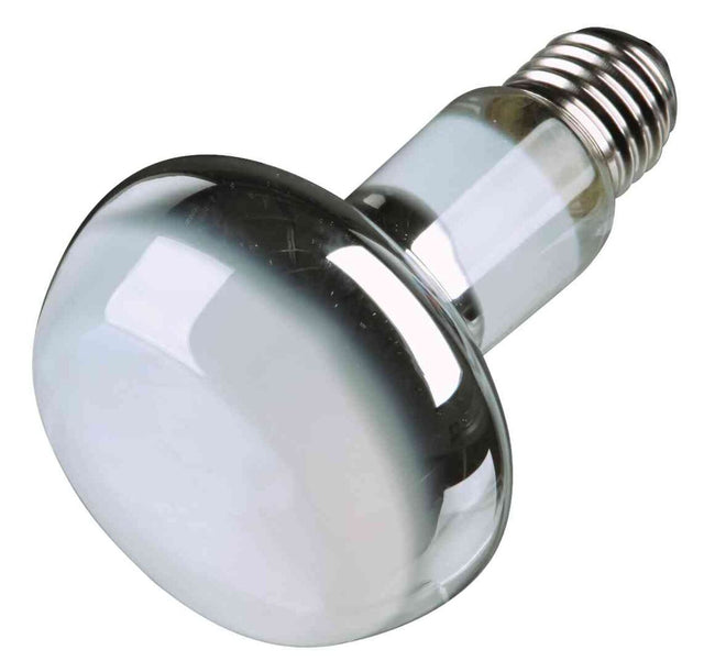 Silberne, runde Glühbirne mit glattem, reflektierendem Kopf und Schraubsockel aus Metall.