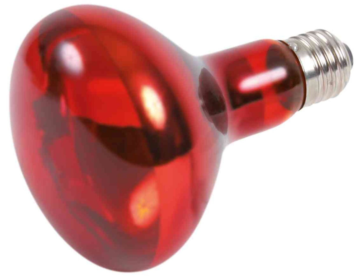 Rote Glühbirne mit reflektierender Oberfläche und silbernem Schraubsockel.