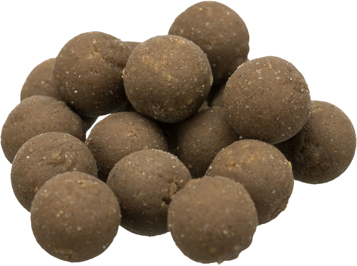 Adventskalender für Katzen