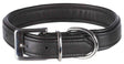 Schwarzes Lederhalsband mit silberner Metallschnalle und D-Ring, schlichtes Design, detailreiche Naht.