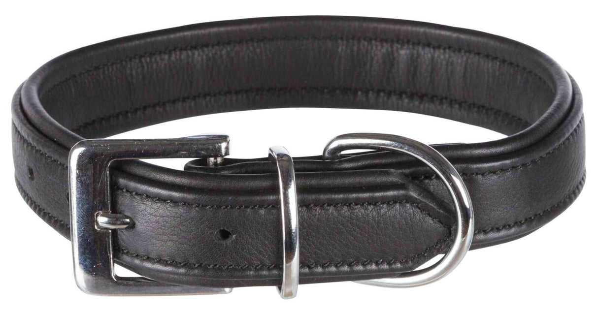 Schwarzes Lederhalsband mit silberner Metallschnalle und D-Ring, schlichtes Design, detailreiche Naht.
