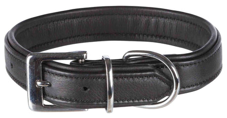 Schwarzes Lederhalsband mit silberner Metallschnalle und D-Ring, schlichtes Design, detailreiche Naht.