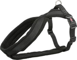 PHO_PRO_CLIP_Premium-202001-204201-2