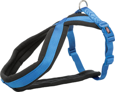 Blaues Hundegeschirr mit schwarzen Polsterungen und silbernem D-Ring aus robustem Material.