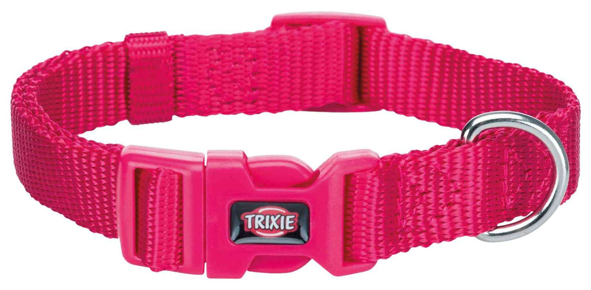 Rotes, verstellbares Hundehalsband aus Nylon mit Klickverschluss und silbernem D-Ring.