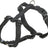 Ein schwarzes, verstellbares Hundegeschirr mit Schnallen und D-Ring aus robustem Material.